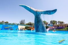 Aqua_Parc-13-scaled