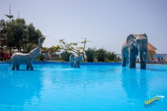 Aqua_Parc-27-scaled